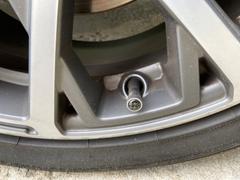 Carbon Fiber Gear Carbon Fiber Valve Stem Caps - Standard ABS Review