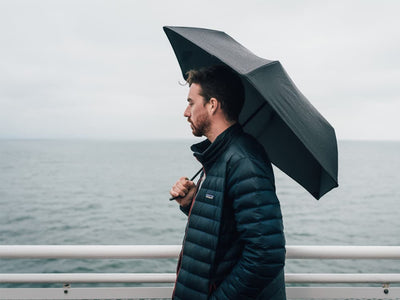 Hedgehog carbon fiber umbrella, black, lifestyle