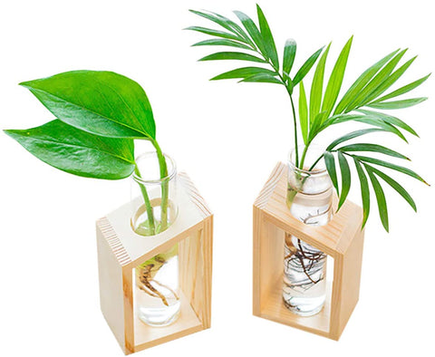 Propagation Station |10 Cool Gift Ideas For Husbands That They Will Actually Use | Ivolador Glass Propagation Glass Test Tube Plant Terrarium Mini Vase Flower Pots for Hydroponic Plants Home Garden Decoration