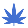 Card Icon